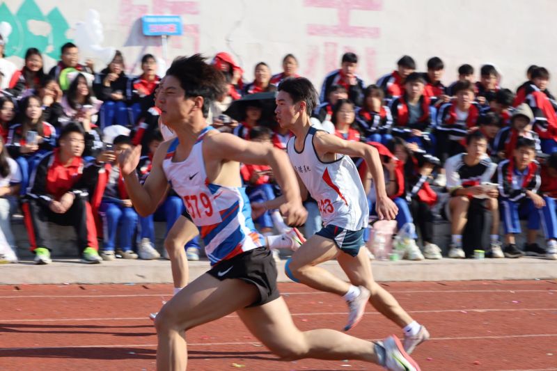 常德德才科技職業(yè)學(xué)校,常德招生就業(yè),電子商務(wù)專業(yè)學(xué)校,專業(yè)學(xué)校報考哪里好